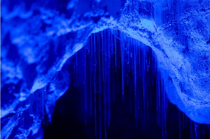 Пещеры Вайтомо